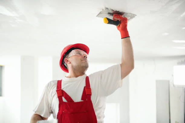 Apollo Beach, FL Drywall & Painting Services Company